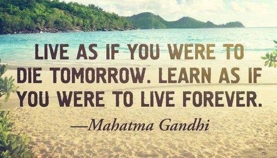 Elysia Skye tweet media