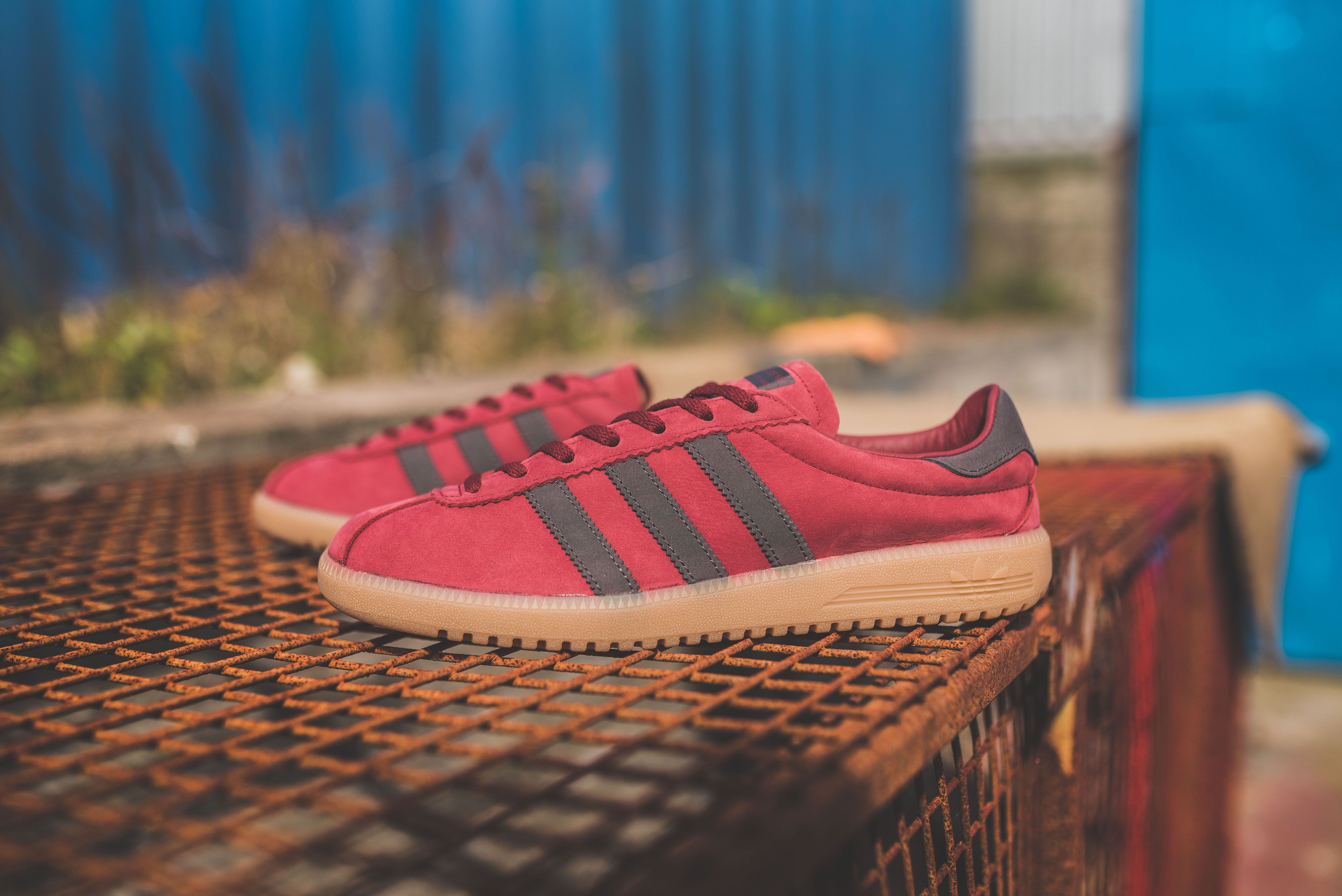 HANON on Twitter: "adidas Bermuda "Burgundy" is to buy ONLINE now! #hanon #adidas #bermuda https://t.co/jSGadTCwaj https://t.co/Gj8rUn0T1c" /