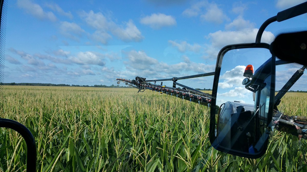 farmerschneck's tweet image. #striptil #corn #bigpotential #fung17 #spray17 #happyfarmer #ontag
