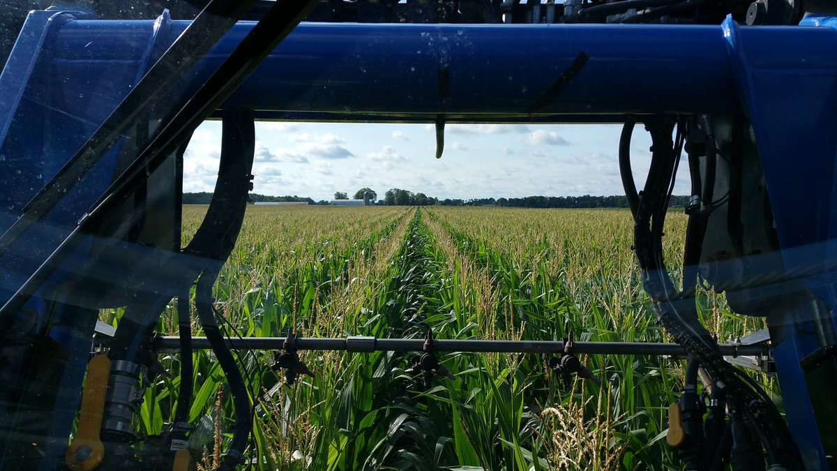 farmerschneck's tweet image. #striptil #corn #bigpotential #fung17 #spray17 #happyfarmer #ontag