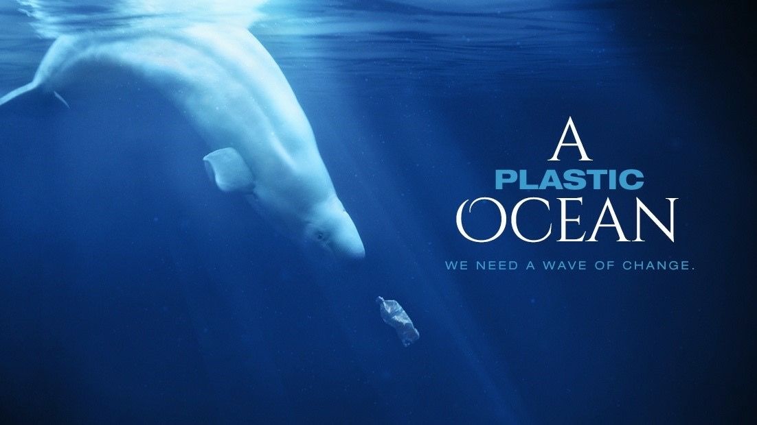 Help us spread the word about #plasticpollution! #APlasticOcean is now available to rent or own: buff.ly/2vwFz5e