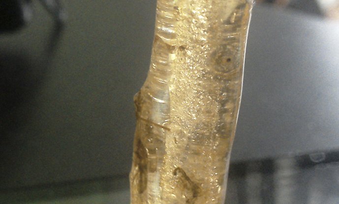 collectionofgem's tweet image. #Amber (Kopal) from #Toamasina, Madagascar 
buff.ly/2vCuJuj