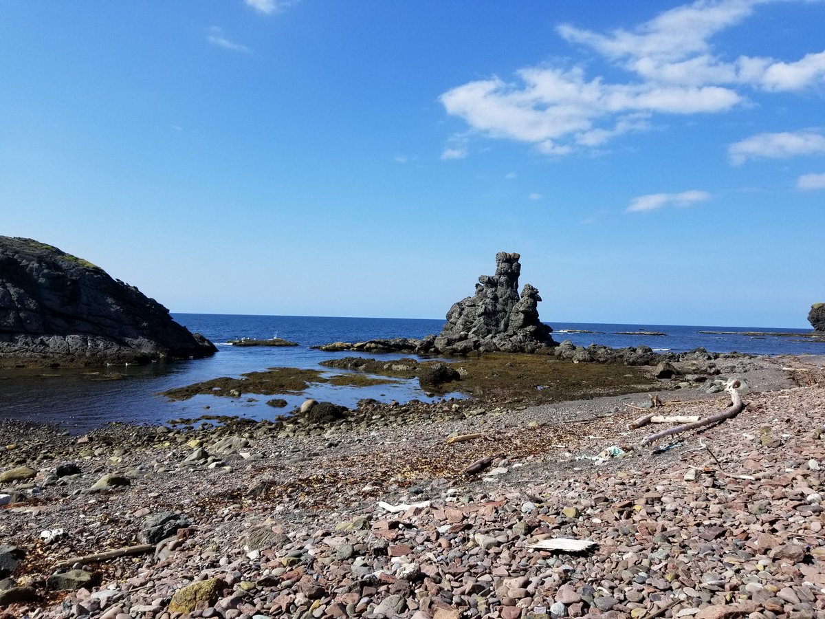 Lynda Essman tweet media