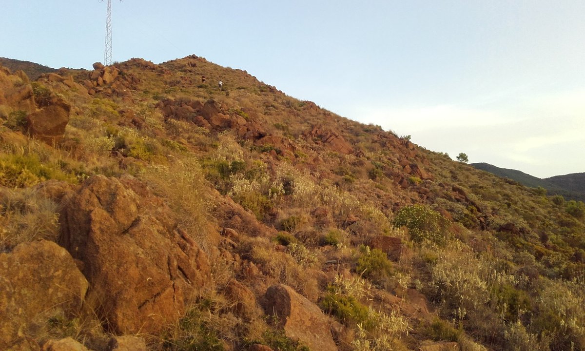 juanjo071's tweet photo. Hoy tenía ganas de 0-14 en #SierraBermeja Por parte del trazado de @TrailSBermeja los reales, Realillos, pinsaposbe infierno. https://t.co/0impmqorVp