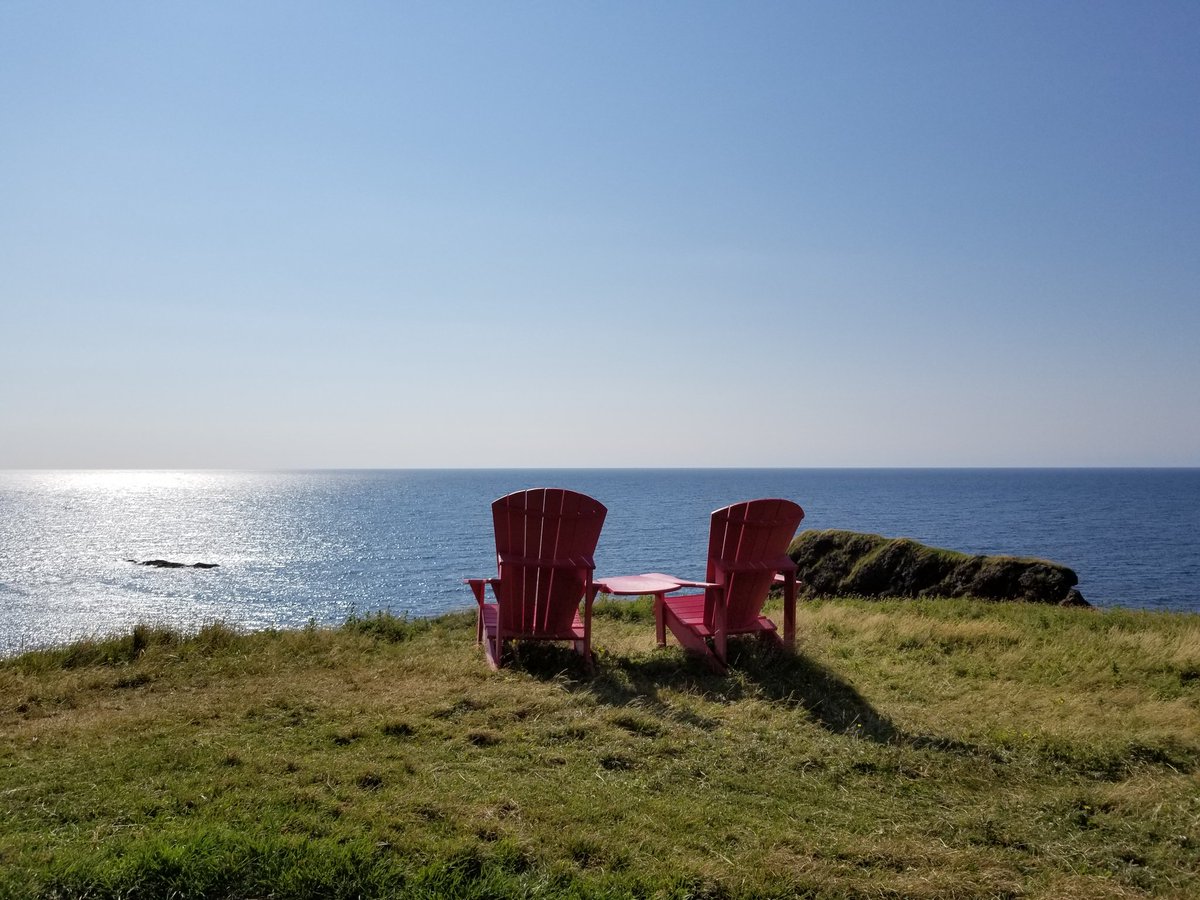 Lynda Essman tweet media