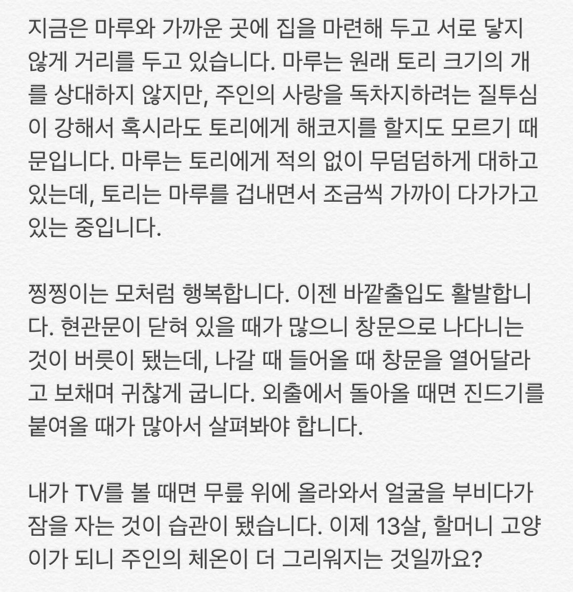 moonriver365's tweet photo. 토리, 찡찡이, 마루가 어떻게 지내는지 궁금해 하는 분들이 많아서 소식을 전합니다. 
토리는 예쁘고 사랑스런 개입니다. 남자들을 경계한다는 말을 들었는데, 처음 볼 때나 그렇지 누구나 잘 따릅니다. 토리의 과제는 찡찡이, 마루와 친해지는 것입니다. https://t.co/xxZzyNBkxD