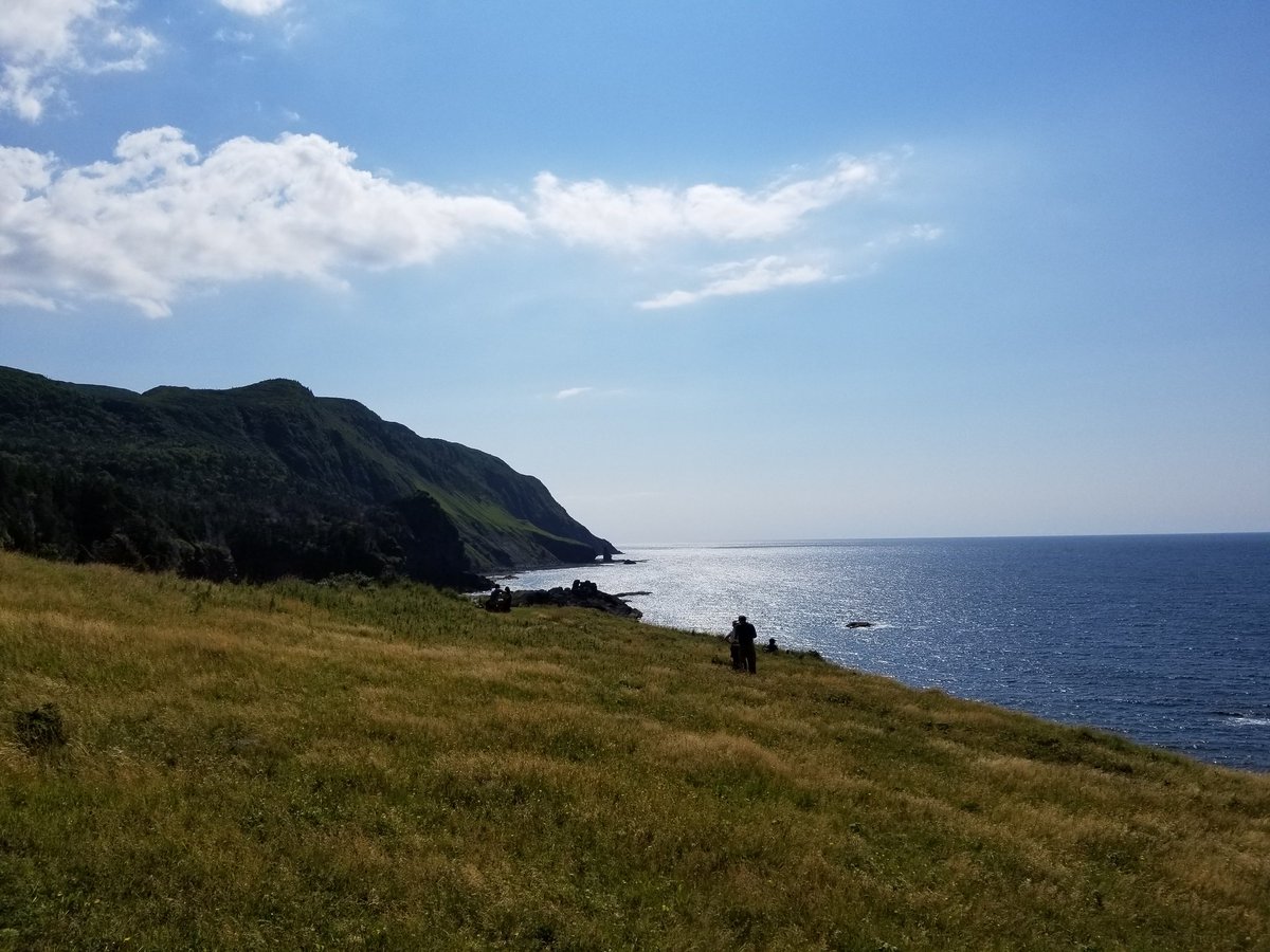 Lynda Essman tweet media