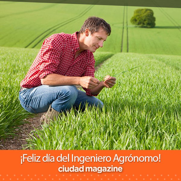 Feliz Dia Ingeniero Agronomo Felicidades Cuidan Tierra Vida Campos