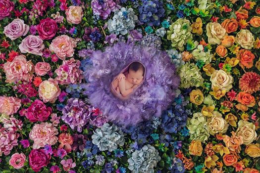 maryfriona's tweet photo. The meaning behind those beautiful rainbow baby pictures. #totallybuffalo Rainbow after the storm! #totallybeautiful https://t.co/mpEDypXdkg https://t.co/OnsJLifRja