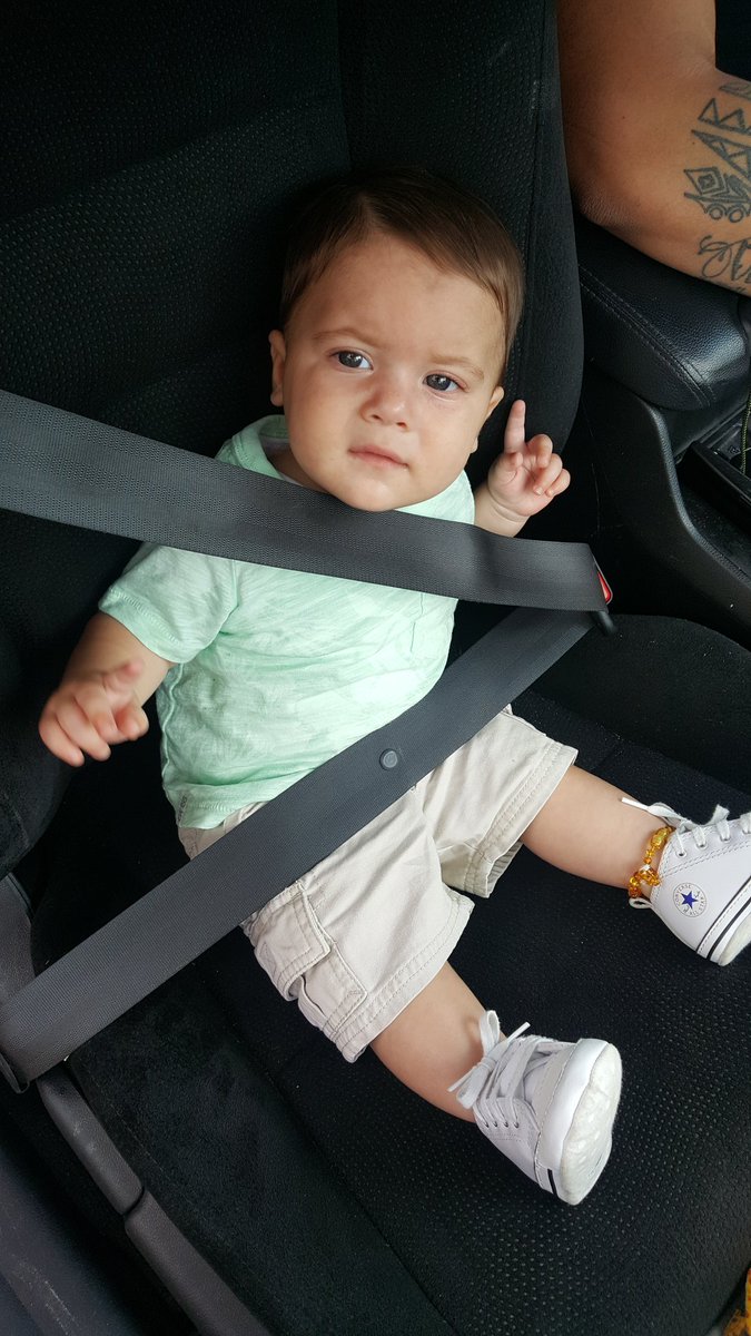 mandaLEEg's tweet photo. Guess he's riding shot gun https://t.co/yEiT9X8seJ