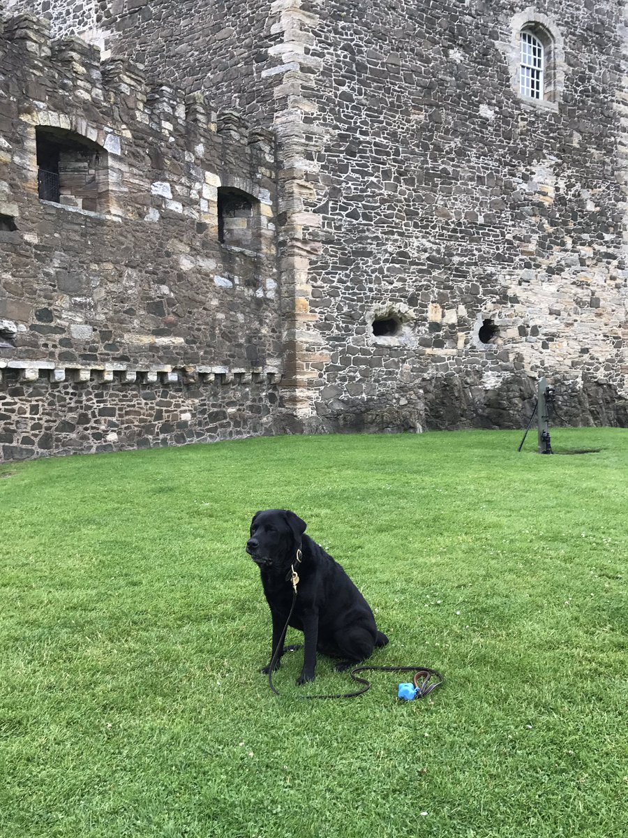 Zac the  #dogsinmuseums mascot, on a wet day out to #BlacknessCastle