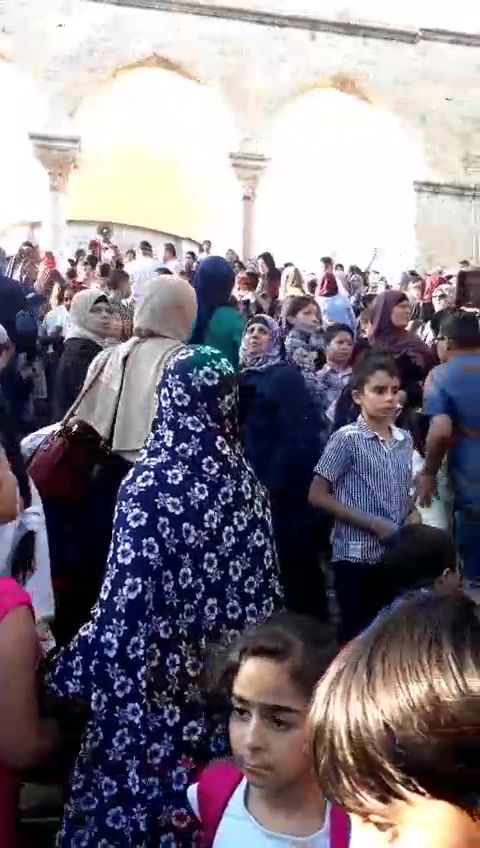 kamelhawwash's tweet photo. Watch as thousands of Palestinian children visit their #Alaqsa now despite the oppression of #Israel #terrortools https://t.co/F86VqGMoSD https://t.co/Lbw2Mcw5e8