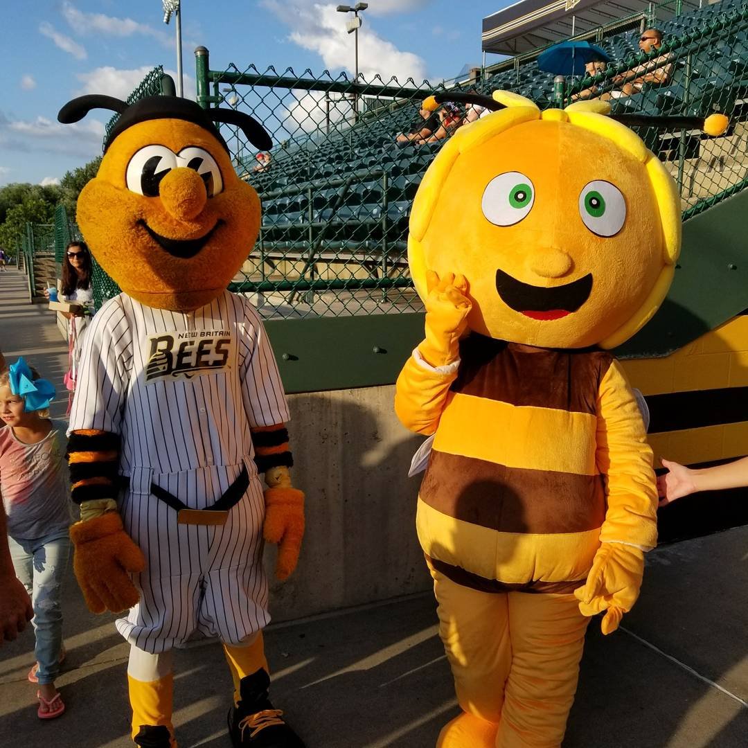 LittlePolandNB's tweet photo. A star struck Maja the Bee meets @NBBeesSting  Maja is Little Poland's newest mascot. https://t.co/sOALf4YveX