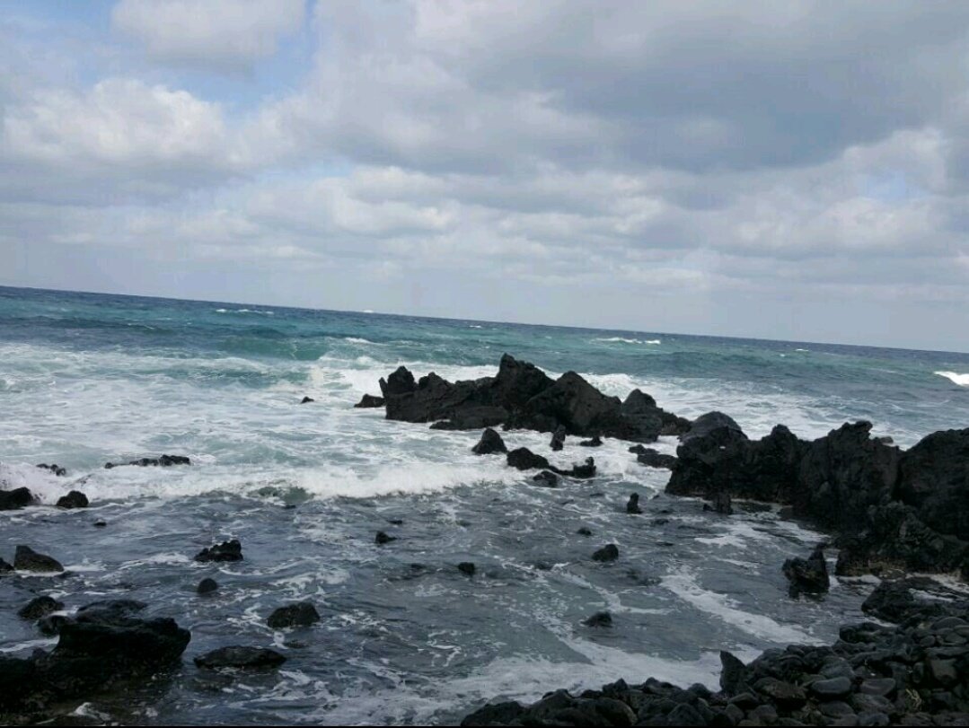 폭염에는 더운데로
폭우에는 습한데로

여름을 선언했으니
계절도 여름으로 살았겠지

그러나 우리에겐
몸과 마음을 비워줄
치유의 숲이 있지 않은가

놓치고 싶지 않은 여름 사진첩