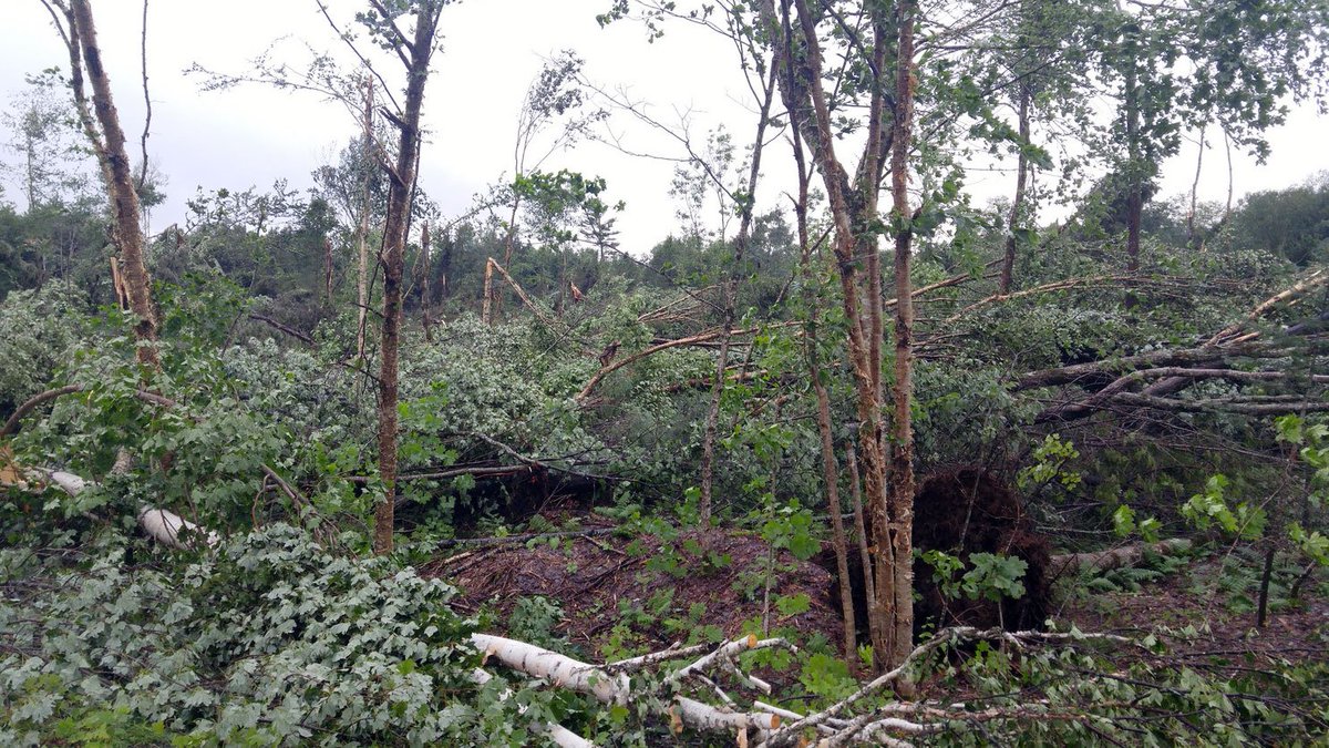 Environment Canada confirms tornado in Ontario's cottage country 1310news.com/2017/08/06/env… https://t.co/Toj5ljSWbC