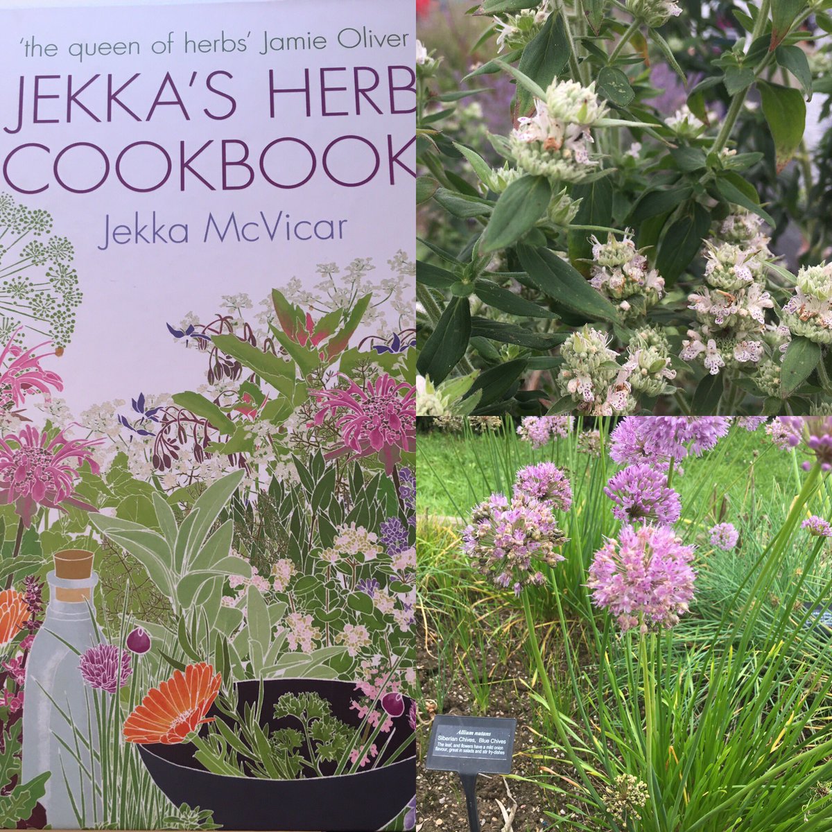 Lovely afternoon at <a href="/JekkasHerbFarm/">Jekka's</a> meeting fab <a href="/HannahMcVicar/">Hannah McVicar</a> and buying healthy herbs. Book sold out thks to <a href="/SheilaDillon/">Sheila Dillon</a>!