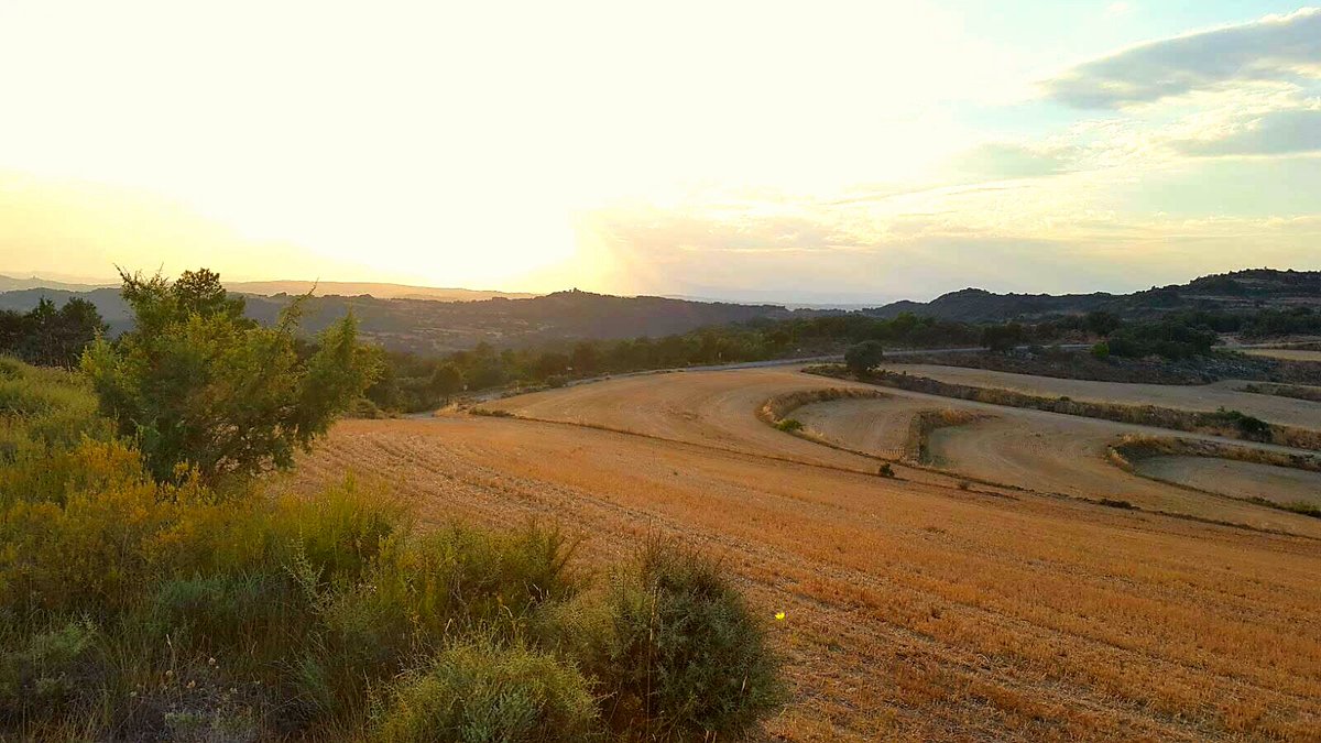 jsolemercade's tweet photo. Paisatges de #secà #lanoguera #elTossal alta #Segarra #Lloberola @SomSegarra @Turisme_Segarra. Llocs per descobrir. https://t.co/bTADjuPkjG