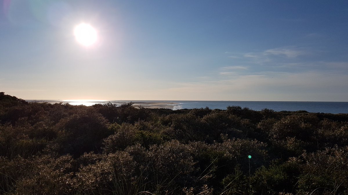 vangestelmark's tweet photo. Easy vacation run at the Dutch coast ππ #trainrunachieve #zeeuwsekust #renesse https://t.co/PJ1rfTlmHO