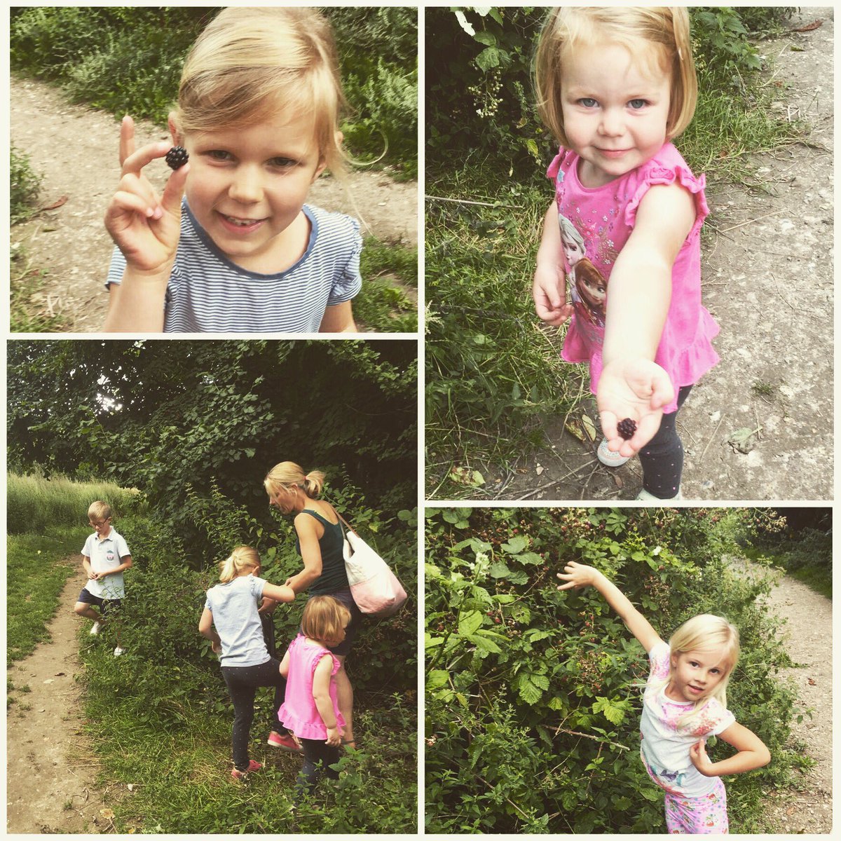 nofoodtowaste17's tweet image. #Blackberry #foraging this weekend - unplanned so asked a passing dog owner for a poo bag (unused) to hold our stash 😂 @lancing_network