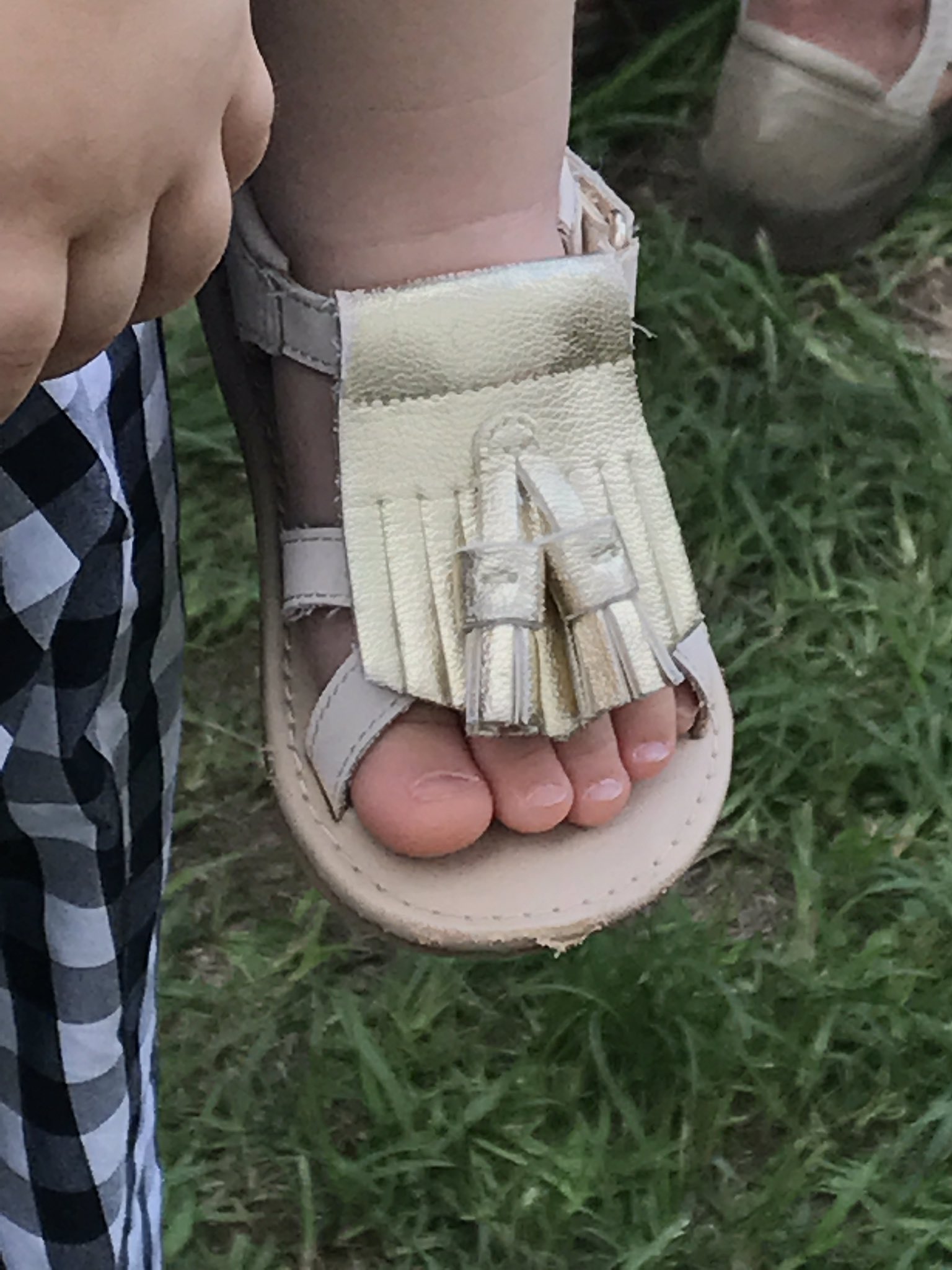 爪切り屋 フットケアしろくま 赤ちゃんの爪切り 気をつけたいのが 深爪 です 引っかかると危ないから 切りにくいから と爪の 白い部分を全部切ってしまわないよう気をつけましょう T Co 56buiwa0oy Twitter