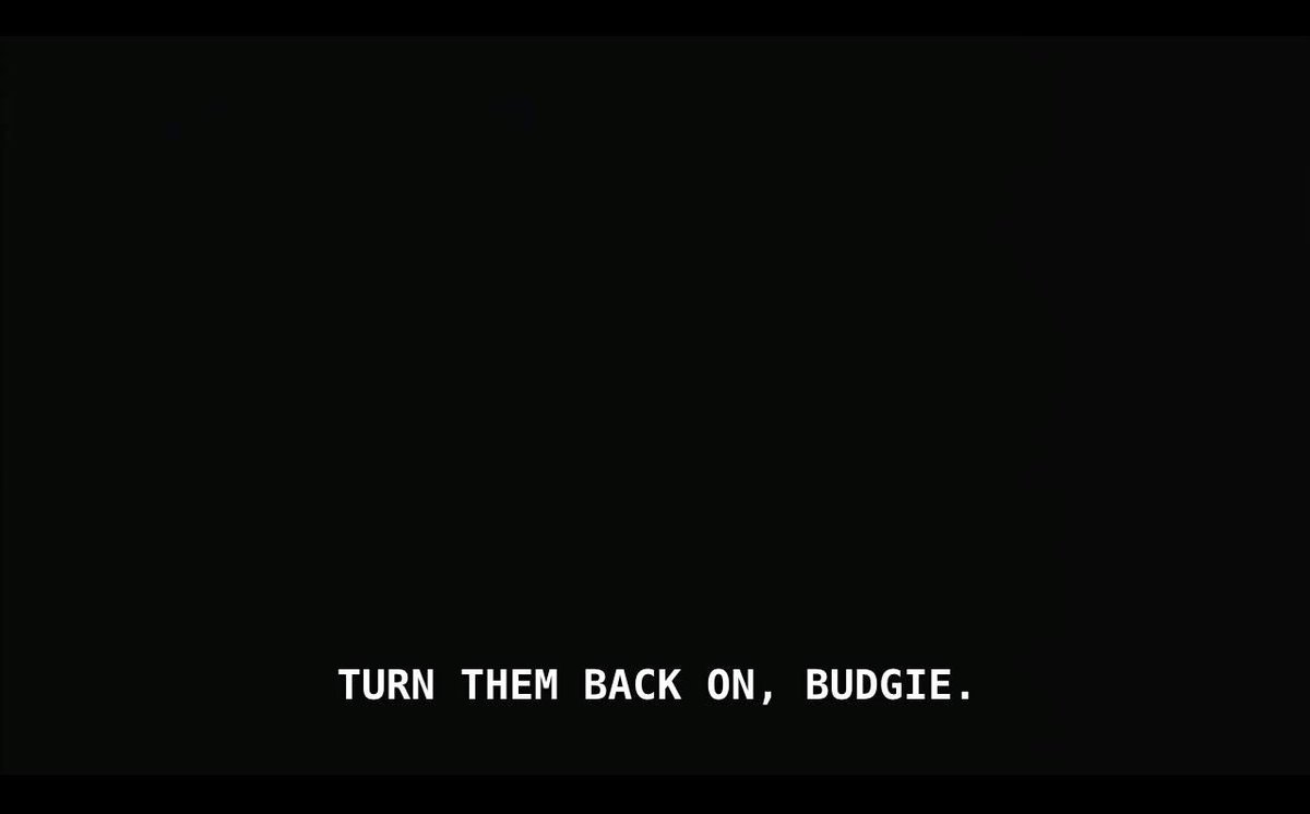 StarsHollowNews's tweet photo. When Budgie turns the lights off without asking https://t.co/1DUpTCSfvn
