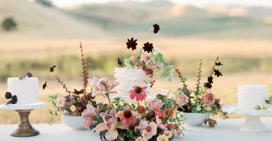 BrideTide tweet media