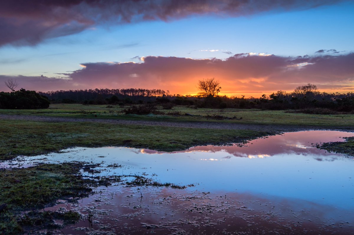 A different cloud view taken in the new forest <a href="/NewForestNPA/">New Forest NPA</a> <a href="/StormHour/">#StormHour</a> #Hampshire <a href="/VisitHampshire/">Visit Hampshire</a> <a href="/ThePhotoHour/">#ThePhotoHour</a> @