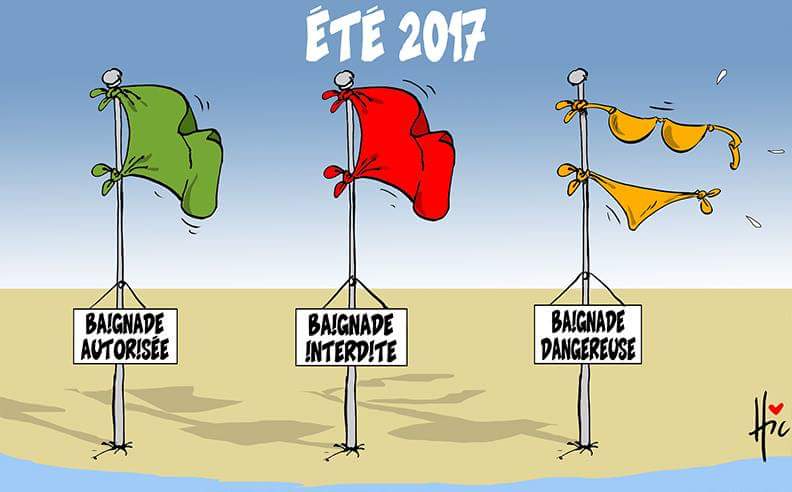 ornikkar's tweet photo. En Algérie, des femmes se battent pour porter le bikini. (Par Le Hic) https://t.co/SeLIjGTOHU