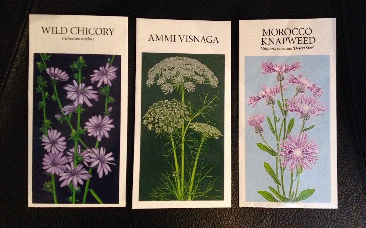 Delicate #blooms of Morocco #Knapweed #grownfromseed from <a href="/GdnsIllustrated/">Gardens Illustrated</a> mag. Fabulous #seedpacket screen print designs by <a href="/HannahMcVicar/">Hannah McVicar</a>