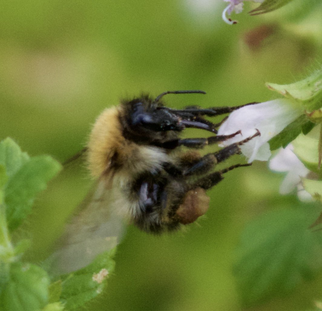 Karen Kelly tweet media