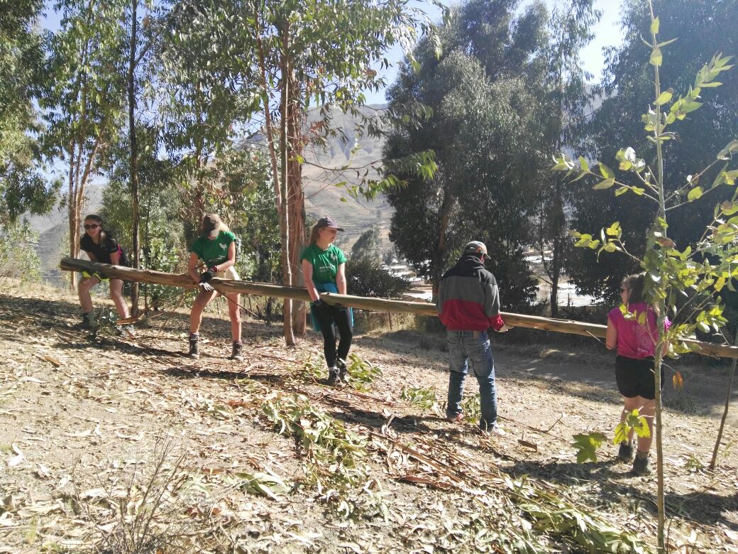 campperu's tweet photo. #TeamApu and #TeamCocoMama are working on the prenatal centre 🍼 and the communal kitchen🍽️ projects on Camp Caylloma!  🙌@CampsInt 🌍🇵🇪 https://t.co/kVgkCIjN98