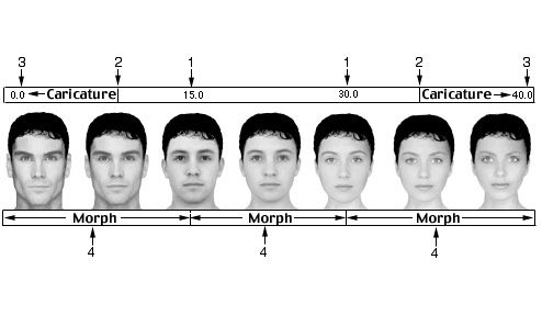 PsychoSchmitt's tweet photo. when men/women report "good looks" is important in potential mate, usually not referring to exact same facial cues #differenceinthedetails https://t.co/2JgT3FO4CD
