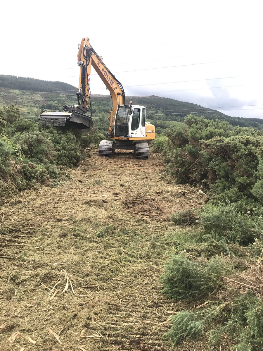Making rides through the gorse