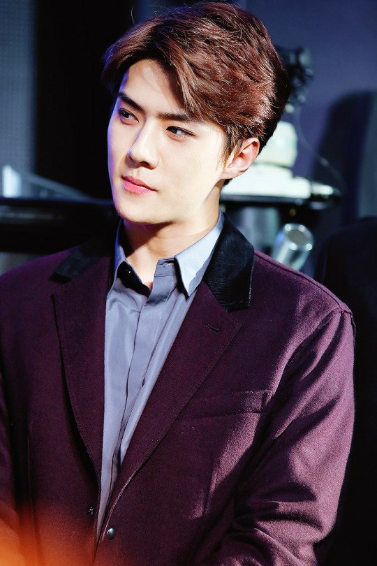 loveallidols_'s tweet photo. como alguém se atreve a falar que o sehun não sabe cantar e é feio? ele merece muito amor pois ele é uma pessoa maravilhosa e talentosa https://t.co/5xkGwCtPKN