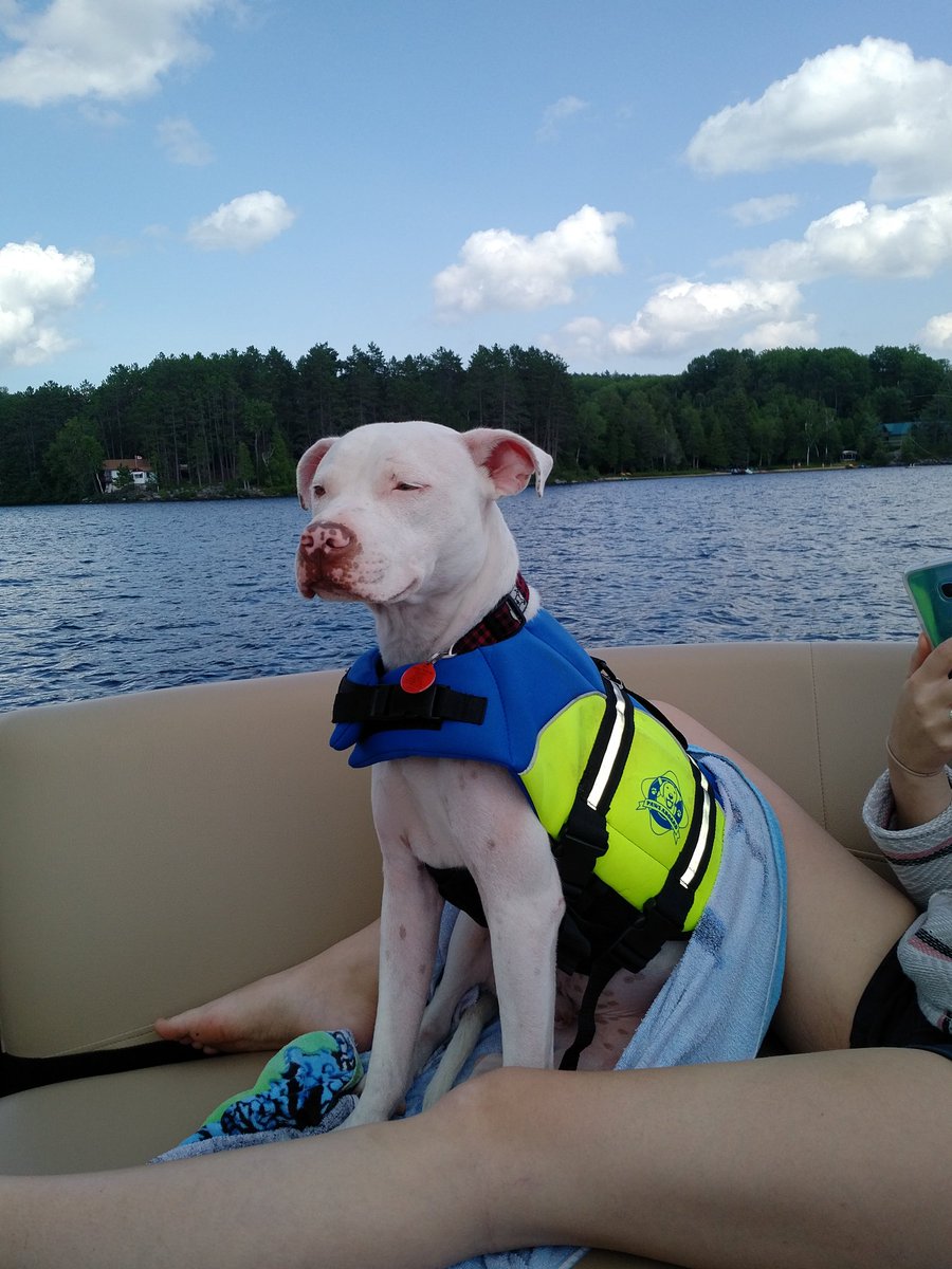 JBucksynchro's tweet photo. Safety Stu in charge! #summerfun https://t.co/QJd3fM3eoy