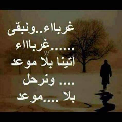 سولف عساني منحرم منك يازين
جمعـت لك ثنتيـن شوقي وذوقي

صوتـك يوديني لمدري على ويـن
بـس الأكيـد إنـه يريّـح خفـوقي

#القحطاني_والعتيبي_للدعم