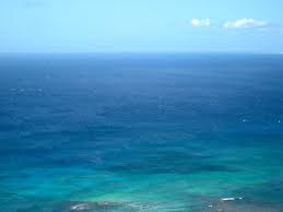 AnnaKaling's tweet image. #TwitteralPursuit Q8

Which sea has no shores?