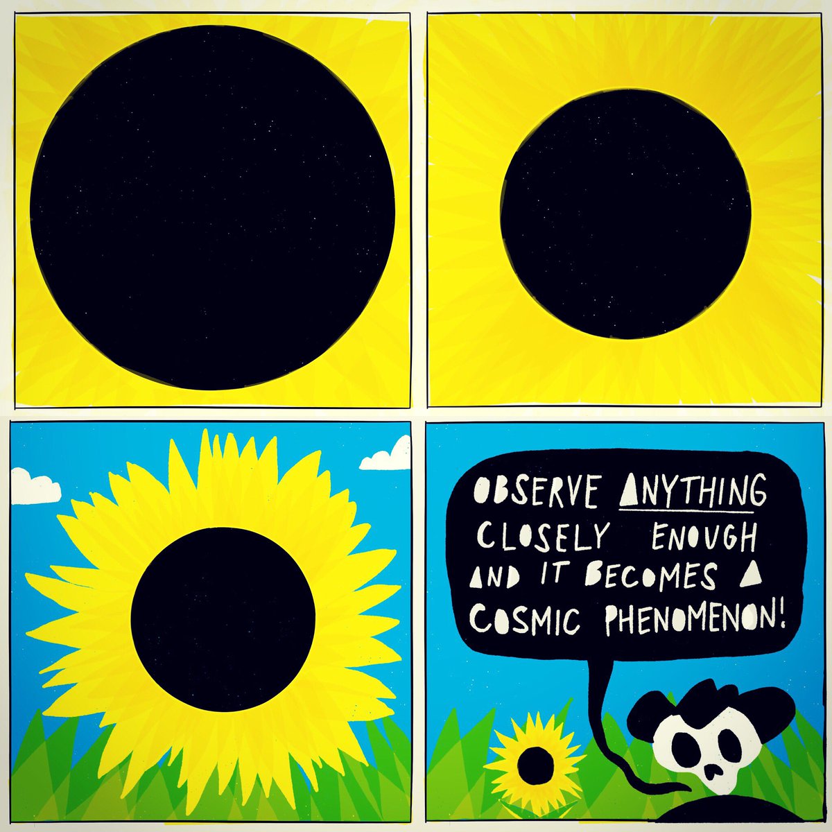 A sunflower is a tiny solar eclipse 💀