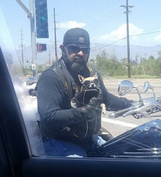 king_platano's tweet photo. Tucson is a beautiful city https://t.co/qVYMrMOwrZ