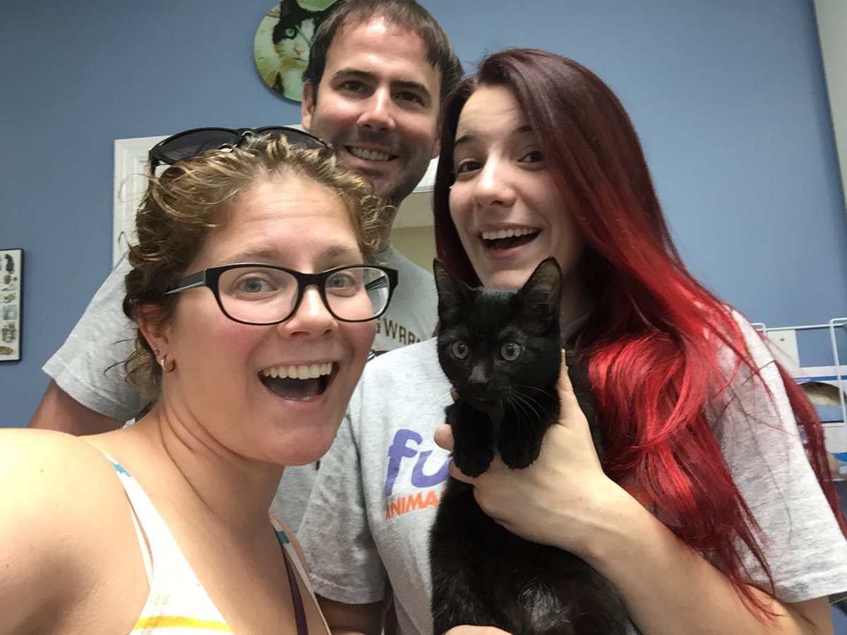 mrsnigelmurray's tweet photo. Luna Tuna says #adoptmeplease but if not, consider a donation to @furkidsinc GAs largest cage free no kill shelter @NewLeashUSA #gishwhes https://t.co/NaOT4KCvVh