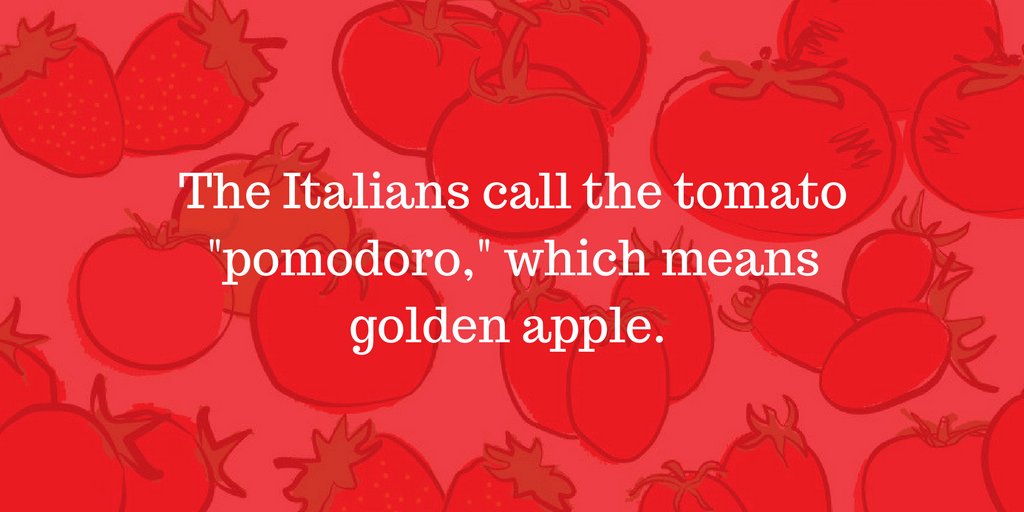 Sunripe Tomatoes tweet media
