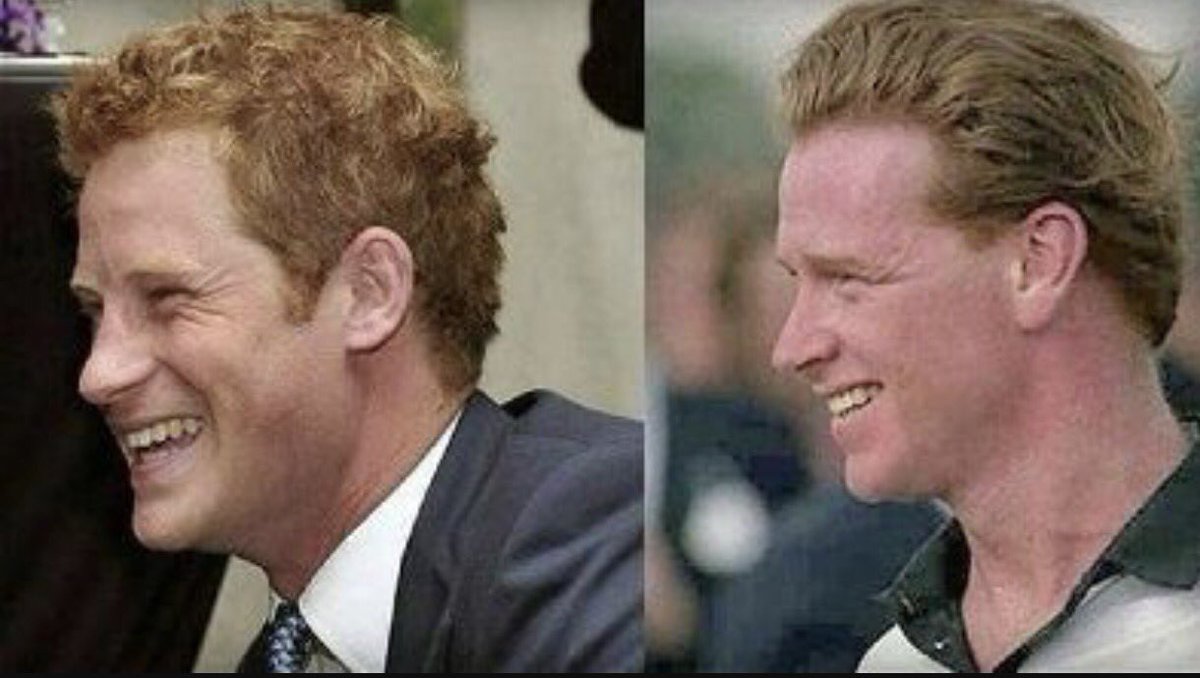 sarahfw40's tweet image. When will they address the elephant in the room? 

#dianainherownwords #diana #dianatapes