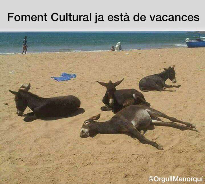 OrgullMenorqui's tweet photo. https://t.co/gpQkR781Yv