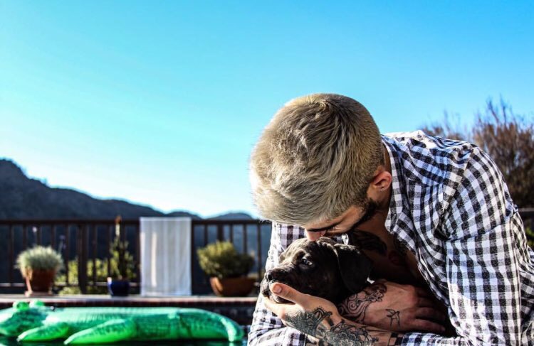 ZaynReport's tweet photo. lstvisuals via Instagram: "@zaynmalik" https://t.co/3Y9lFWxrTd