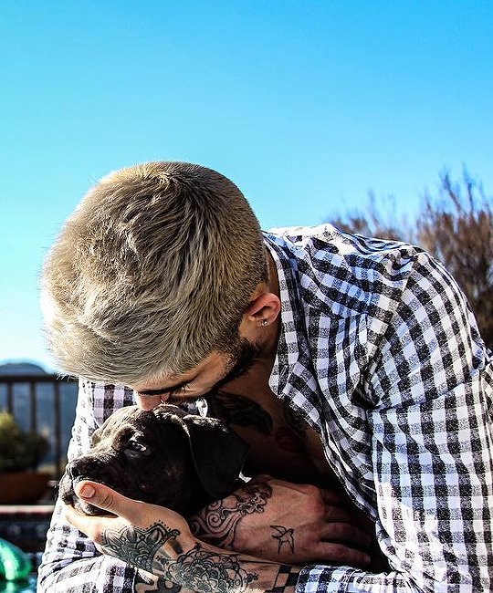 bestzaynsphotos's tweet photo. https://t.co/NRIXVz23qf