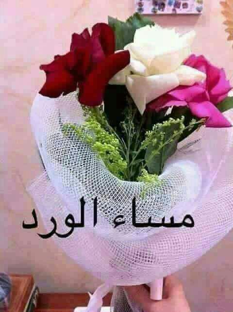 مساء الفل لناس الكل