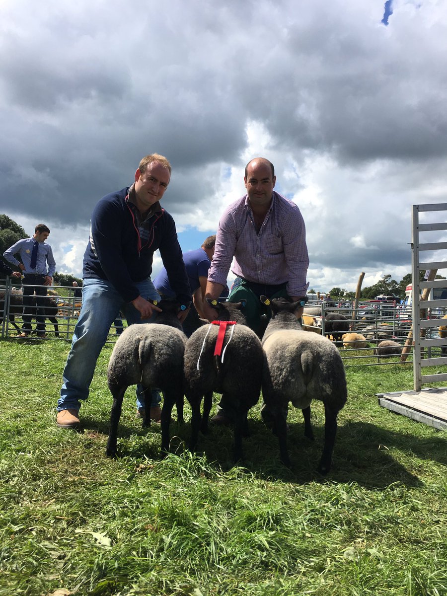 Enfys Williams tweet media