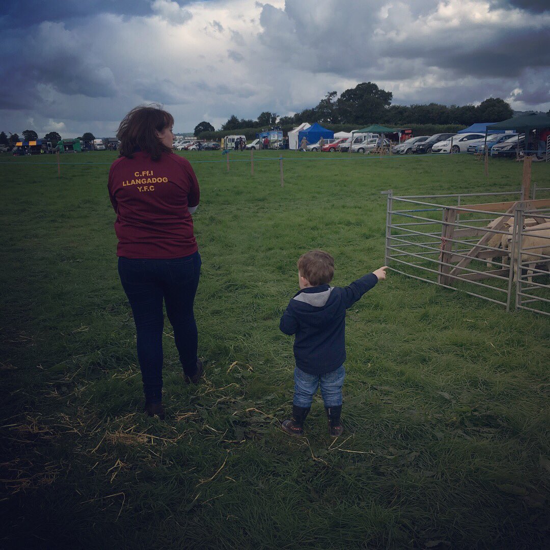 Enfys Williams tweet media