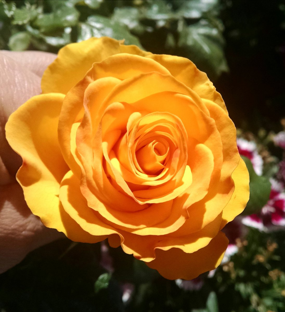 _Nade14's tweet image. 