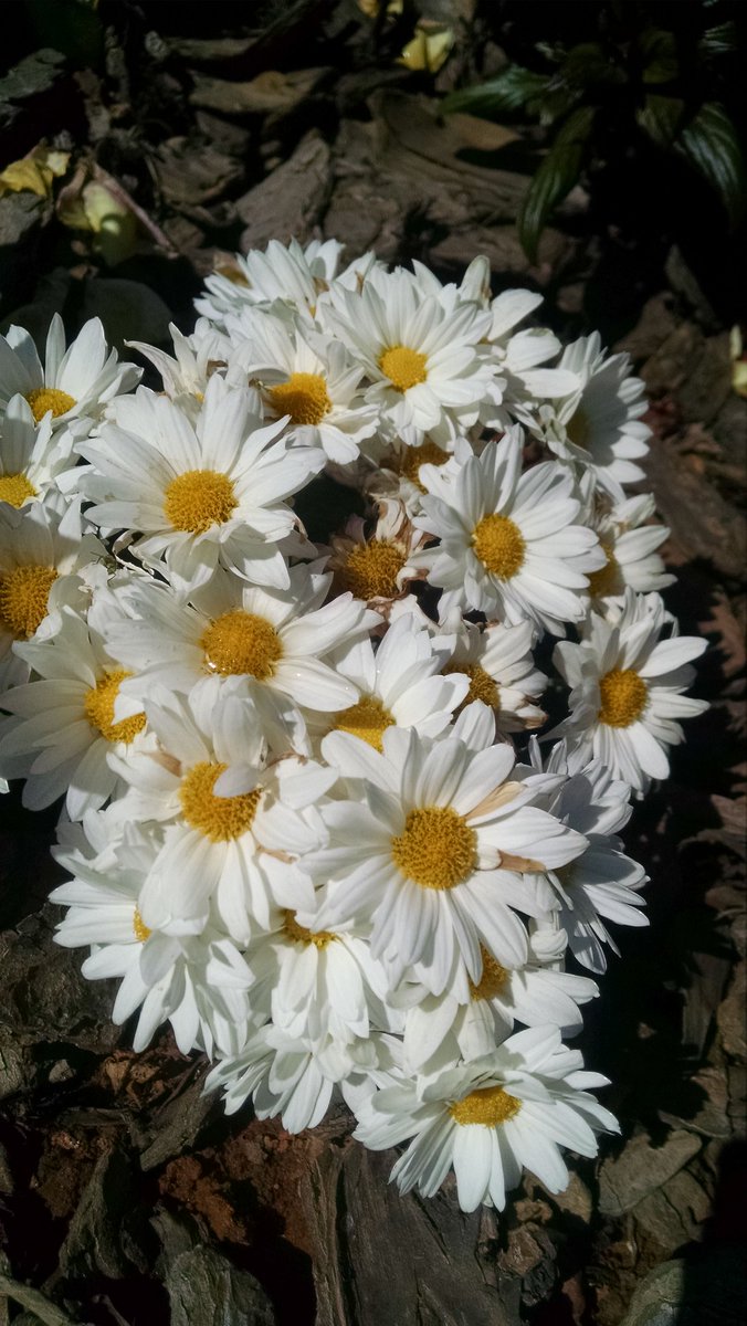 _Nade14's tweet image. #